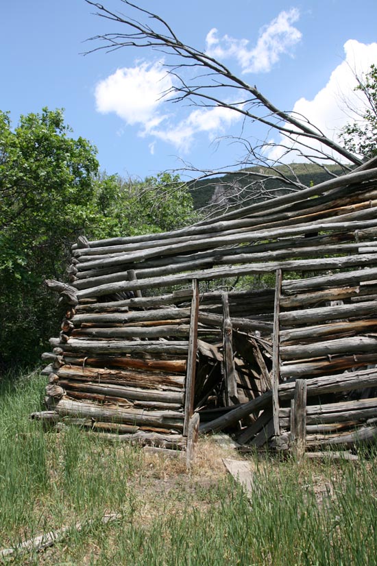 2008 White Family Reunion at Big Rock Candy Mountain, Utah